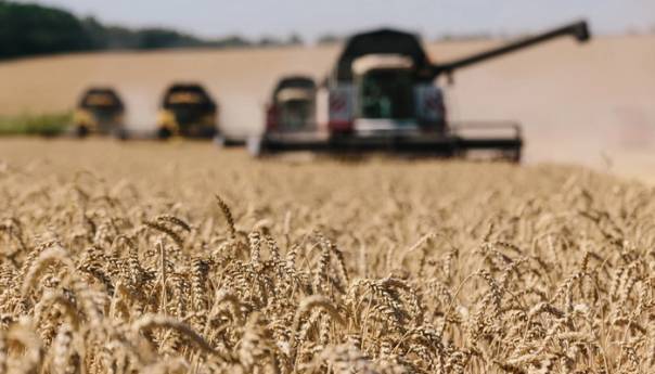 Ukrajina uvela privremena ograničenja na izvoz žita u Rumuniju i Moldaviju
