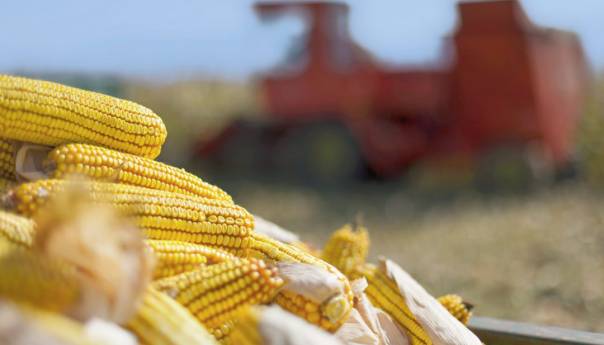 Ukrajinski izvoz poljoprivrednih proizvoda snažno porastao u maju