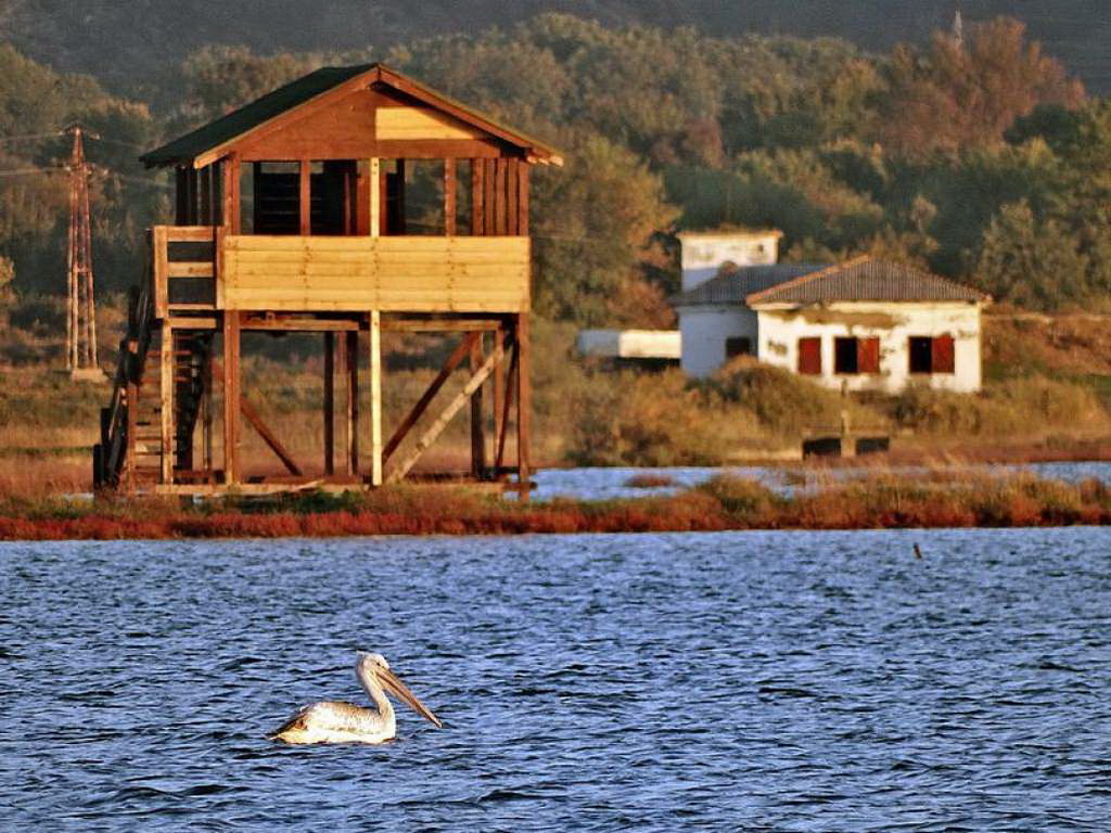 Ulcinjska solana propada, ugroženo jedno od najvažnijih staništa ptica u Evropi