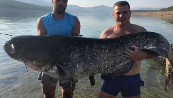 Ulovili soma od 92 kilograma!