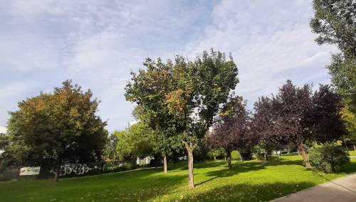 Umjereno do pretežno oblačno, temperatura do 25 stepeni