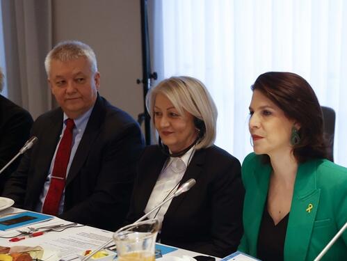 Umjesto o dva ključna zakona, Krišto u Briselu o Izbornom zakonu