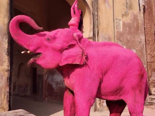 Umjetnica u Indiji obojila slona u rozo, uginuo je