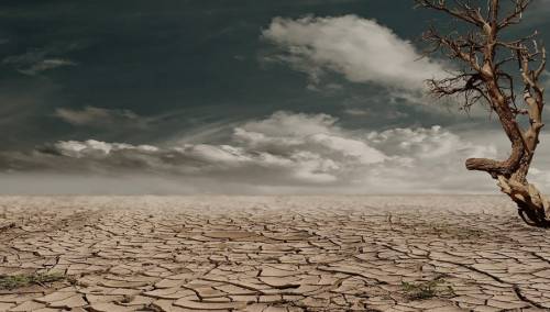 UN objavile 'uputstvo za preživljavanje čovječanstva'