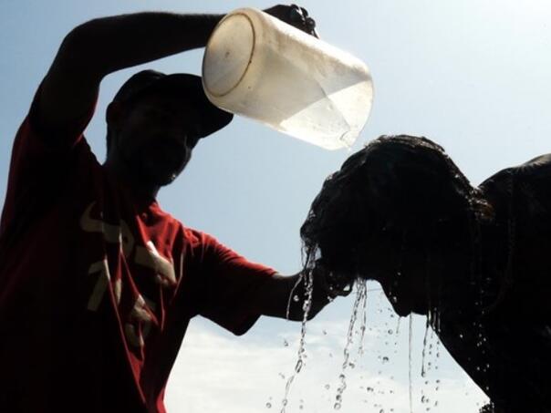 UN pozvao na globalnu akciju protiv ekstremnih vrućina