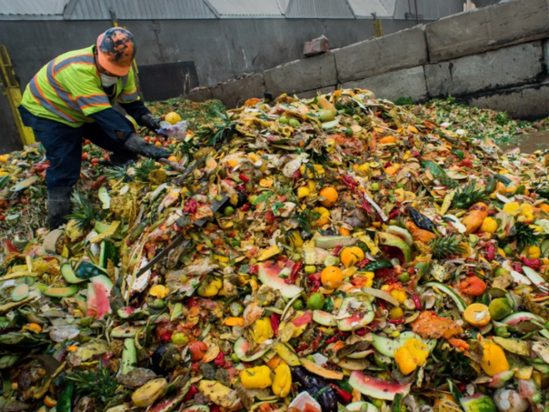 UN: U svijetu se svakog dana baci milijardu obroka hrane