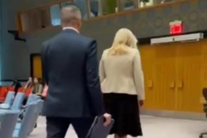 UN: U vrijeme obraćanja Schmidta, Cvijanović napustila sjednicu