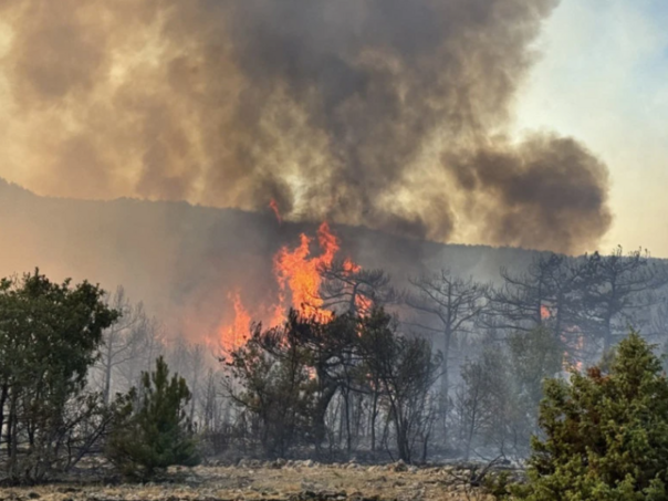 Upozorenje građanima: Zabranjeno paljenje vatre na otvorenom