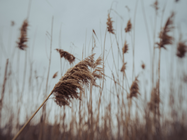 Upozorenje na olujni vjetar u Krajini