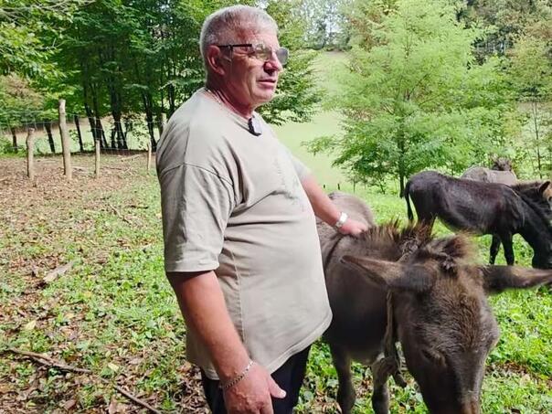 USK: Magarci postaju isplativa grana stočarstva, po grlu i 500 KM podrške