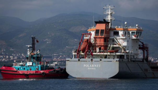 Uspostavljena nova ruta za brodove koji prevoze žitarice iz Ukrajine