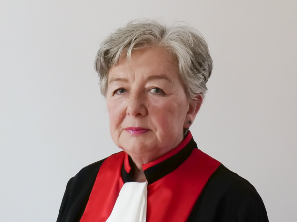 Ustavni sud BiH odgovorio Krešiću: Palavrić ima pravo na samostalna saopćenja