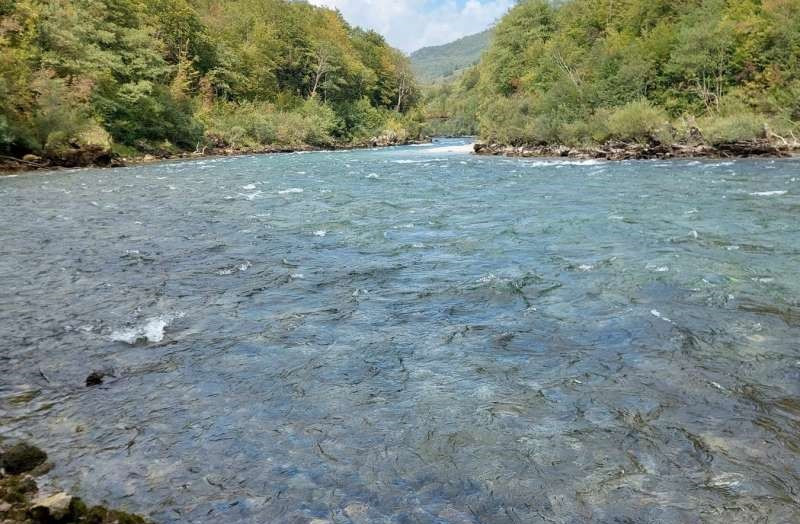 Ustavni sud BiH utvrdio kršenje prava u vezi sa slučajem hidroelektrane 'Foča'