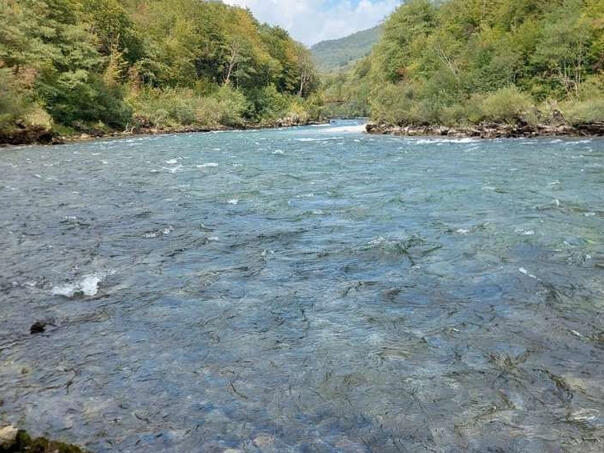 Ustavni sud BiH utvrdio kršenje prava u vezi sa slučajem hidroelektrane 'Foča'