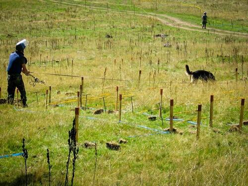 Deminerski bataljon OS BiH heroj mjeseca Ambasade SAD-a