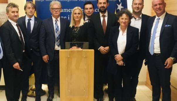 Usvojen zaključak DF-a: Riješiti pitanje mini hidrocentrala u FBiH