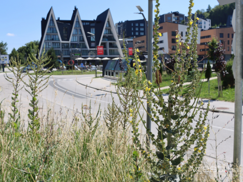 Uvjerili smo se u krah ljetne sezone: Bjelašnica je pusta!