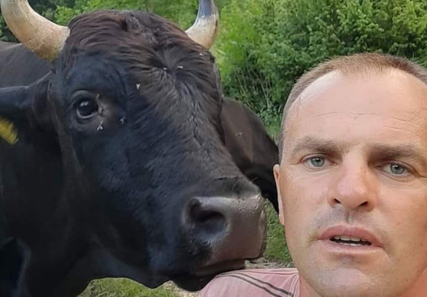 Užas u BiH: Bik rogovima usmrtio muškarca