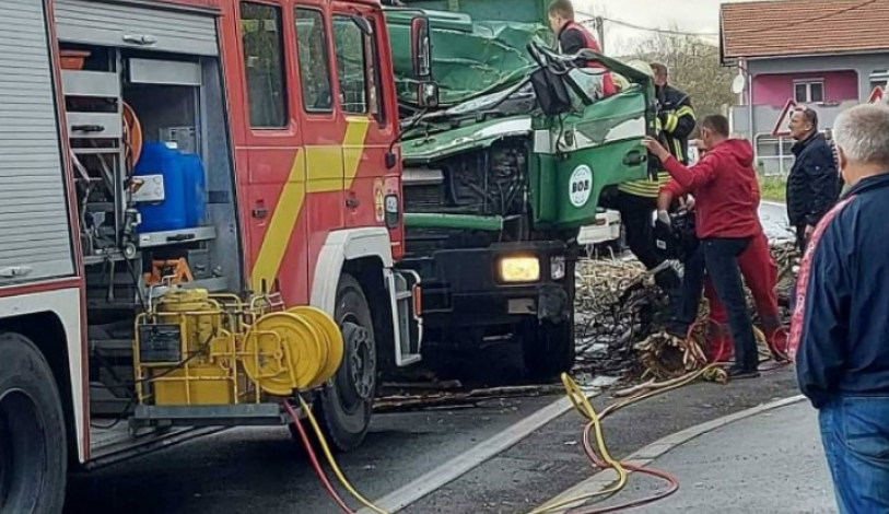 Užas u Bihaću: Stablo palo na kabinu kamiona, poginuo vozač!