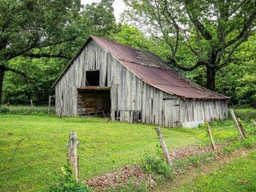 Užas u Hrvatskoj: Počelo suđenje zbog silovanja životinja