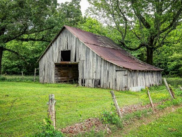 Užas u Hrvatskoj: Počelo suđenje zbog silovanja životinja