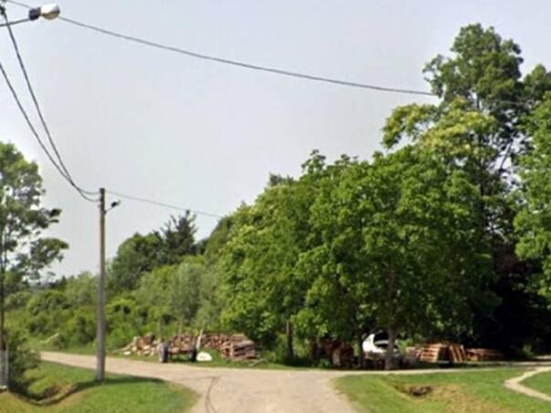 Užas u Hrvatskoj: Silovali životinje i sve snimali, a otkriveni slučajno