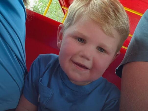 Užas u SAD: Dječaka (2) izujedao roj osa, protuotrov ne postoji