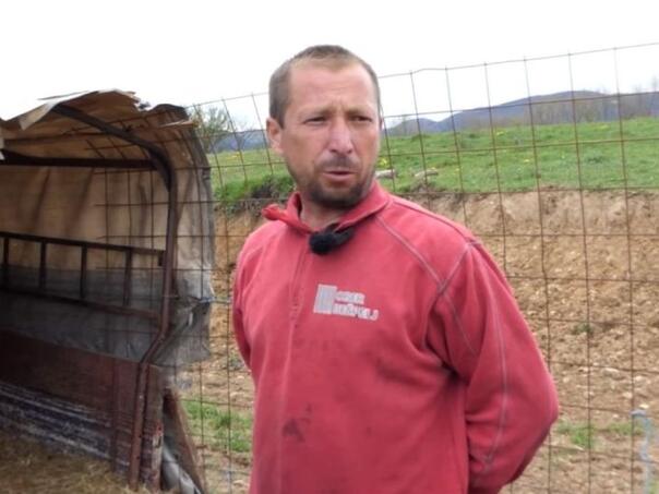 Užas u selu u BiH: Medvjed napravio pokolj u stadu ovaca