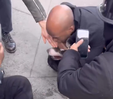 Užasan snimak kruži internetom: Pitbull izujedao jednogodišnje dijete