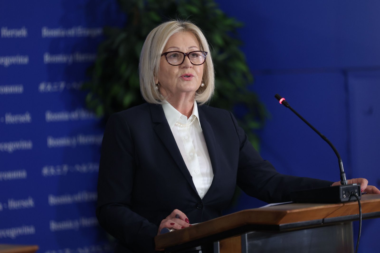 Video: Borjana Krišto se obratila javnosti