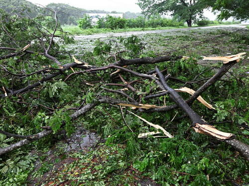 UŽIVO: Oluja stoljeća pogodila Jamajku, "Melissa" iza sebe ostavila pustoš