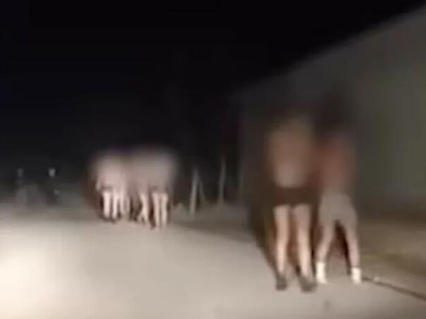 Uznemirujuće snimke: Srpska policija ponižava migrante