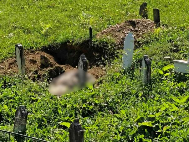 Uznemirujući prizor: Medvjed raskopao mezar, mještani u šoku