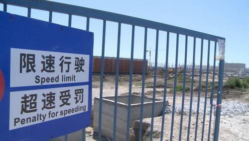 Uznemirujući snimak iz Zrenjanina: Radnici kineske fabrike deru životinju