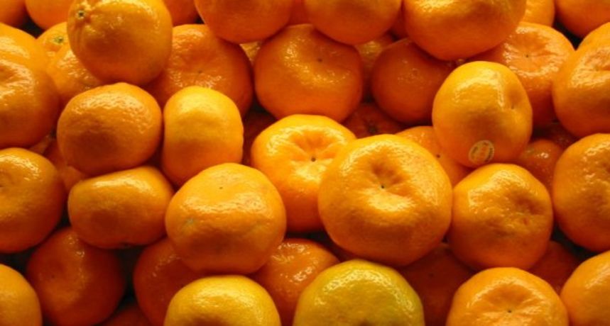 Van graničnog prijelaza pokušao prevesti 600 kilograma mandarina