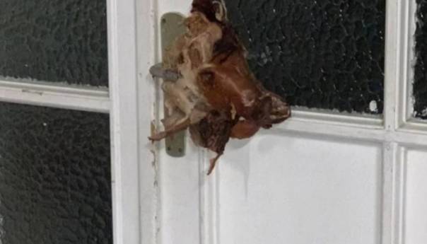 Vandali na vratima džamije u Stutgartu ostavili svinjsku glavu