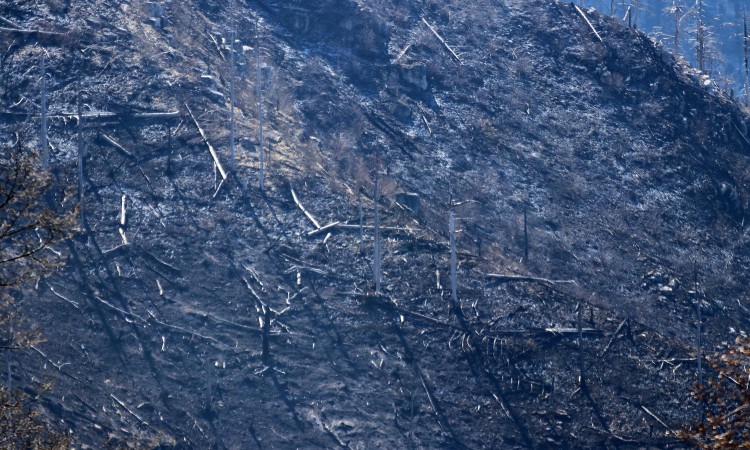 Vatra iza sebe ostavila pustoš na Rujištu