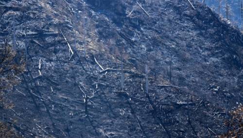 Vatra iza sebe ostavila pustoš na Rujištu