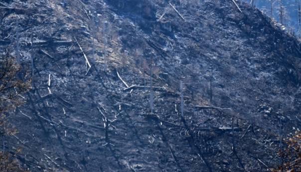 Vatra iza sebe ostavila pustoš na Rujištu
