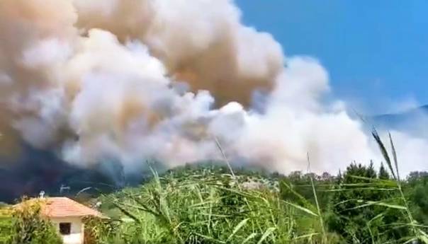 Vatra na Pelješcu prijeti kućama, gase je tri kanadera