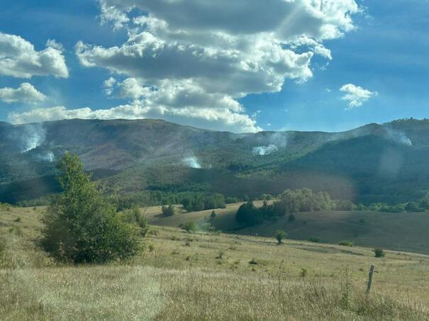 Vatra ponovno prijeti Bosanskom Grahovu: Žarišta bukte u šumi