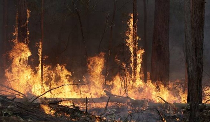 Vatra u Černobiljskoj zabranjenoj zoni i dalje gori