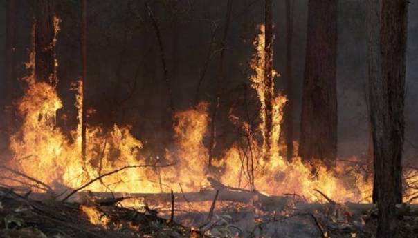 Vatra u Černobiljskoj zabranjenoj zoni i dalje gori