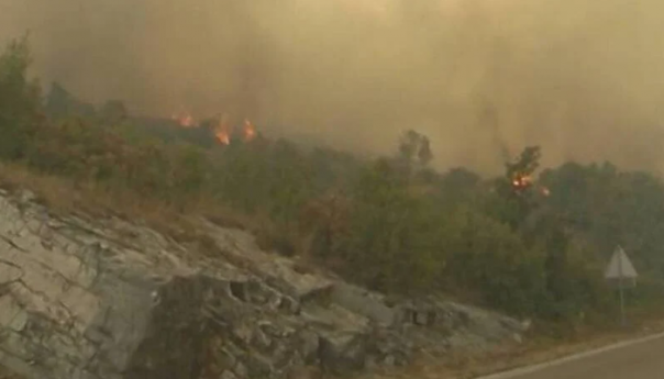 Vatra ugrozila put Trebinje - Bileća, vatrogasci se neprestano bore s požarima