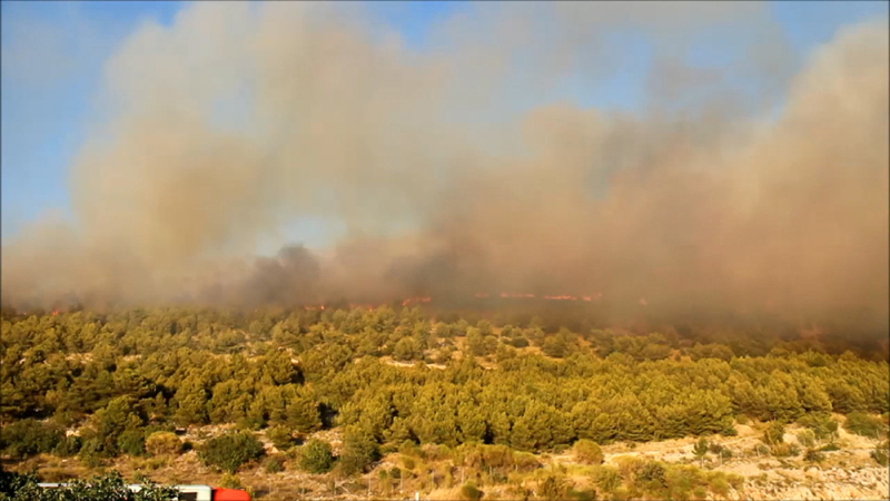 Vatrena stihija kod Lištana zaprijetila i žitnim poljima