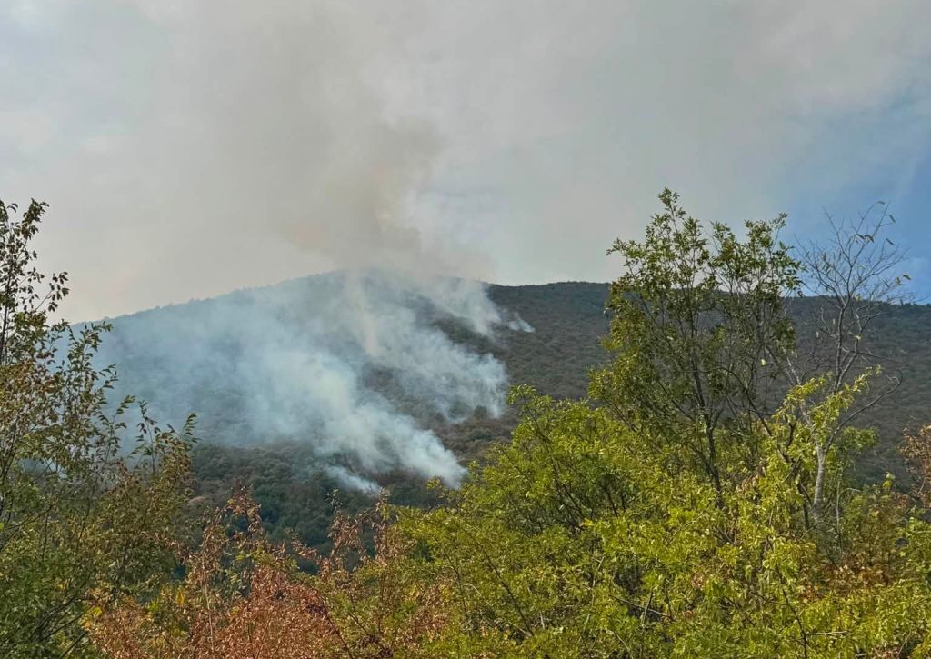 Vatrogasci čekaju pomoć Air Tractora u gašenju požara kod Bosanskog Grahova