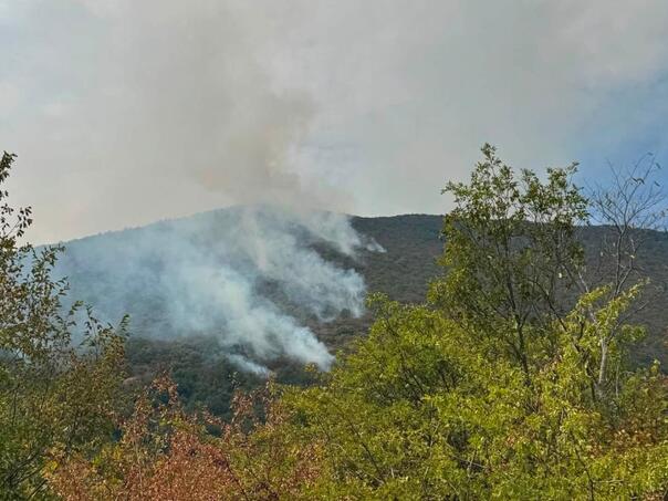 Vatrogasci čekaju pomoć Air Tractora kod Bosanskog Grahova