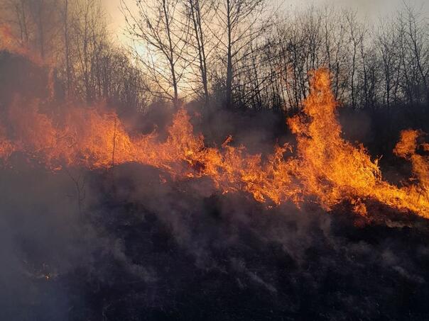 Vatrogasci cijelu noć gasili požar