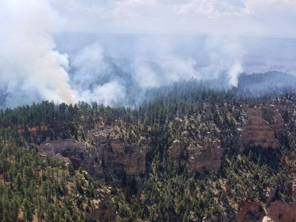 Vatrogasci nemoćni u borbi s vatrenom stihijom: Požar u Velikom kanjonu traje već mjesec dana