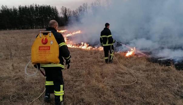 Vatrogasci od vatre spasili azil za napuštene pse
